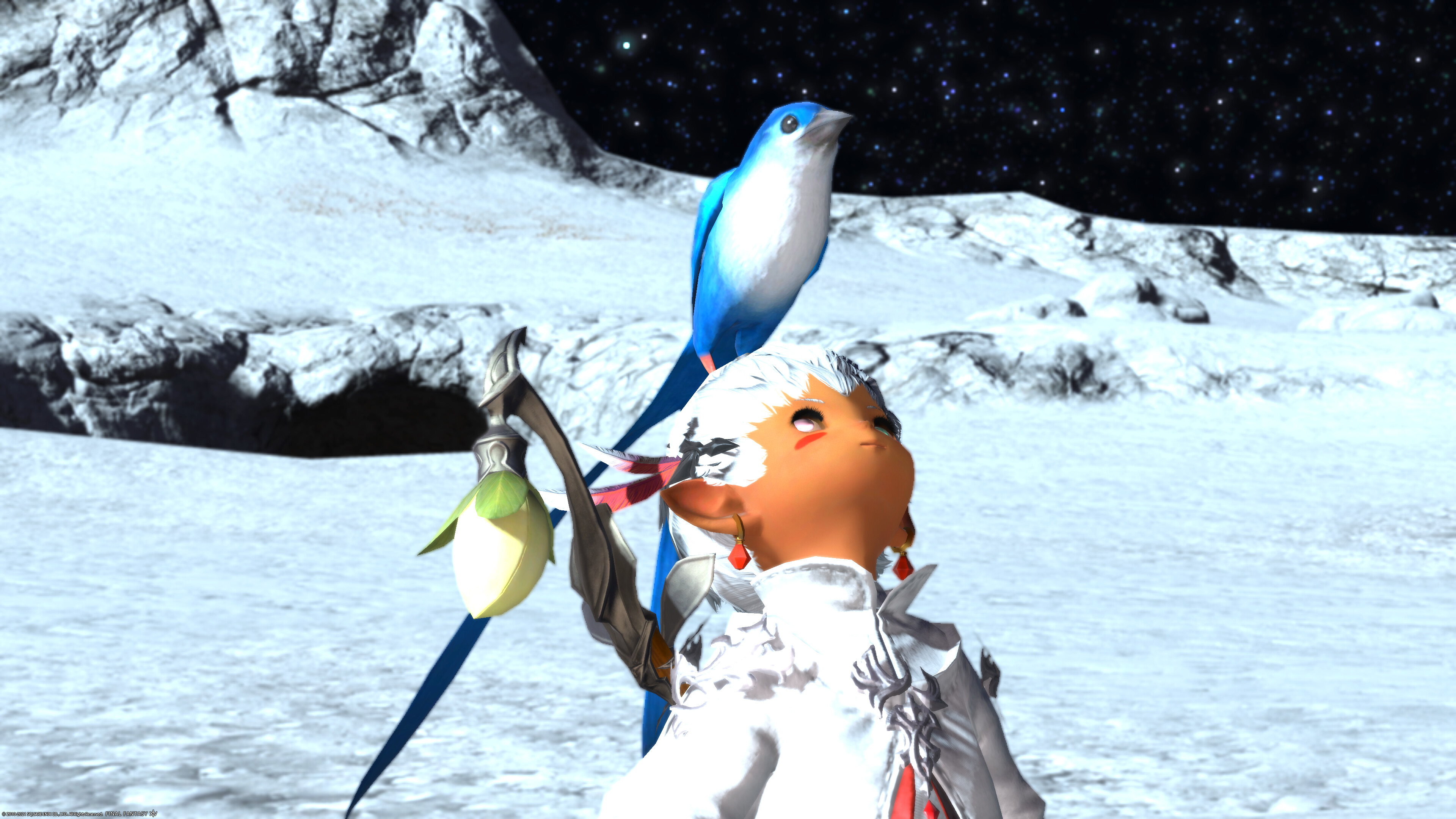 けさらんぱ Ff14 Aegis Ff14 スターバード取れました Mstdn Lalafell Org